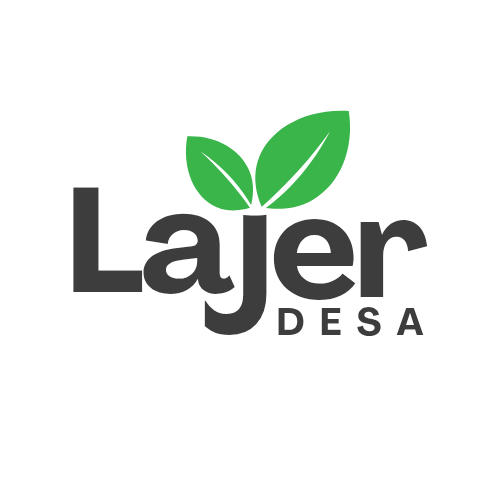 Admin Desa Online
